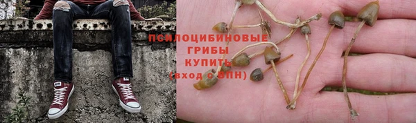 дживик Беломорск