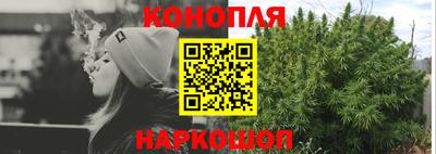 прущие грибы Канаш