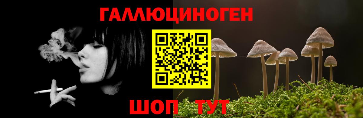 Галлюциногенные грибы GOLDEN TEACHER Видное